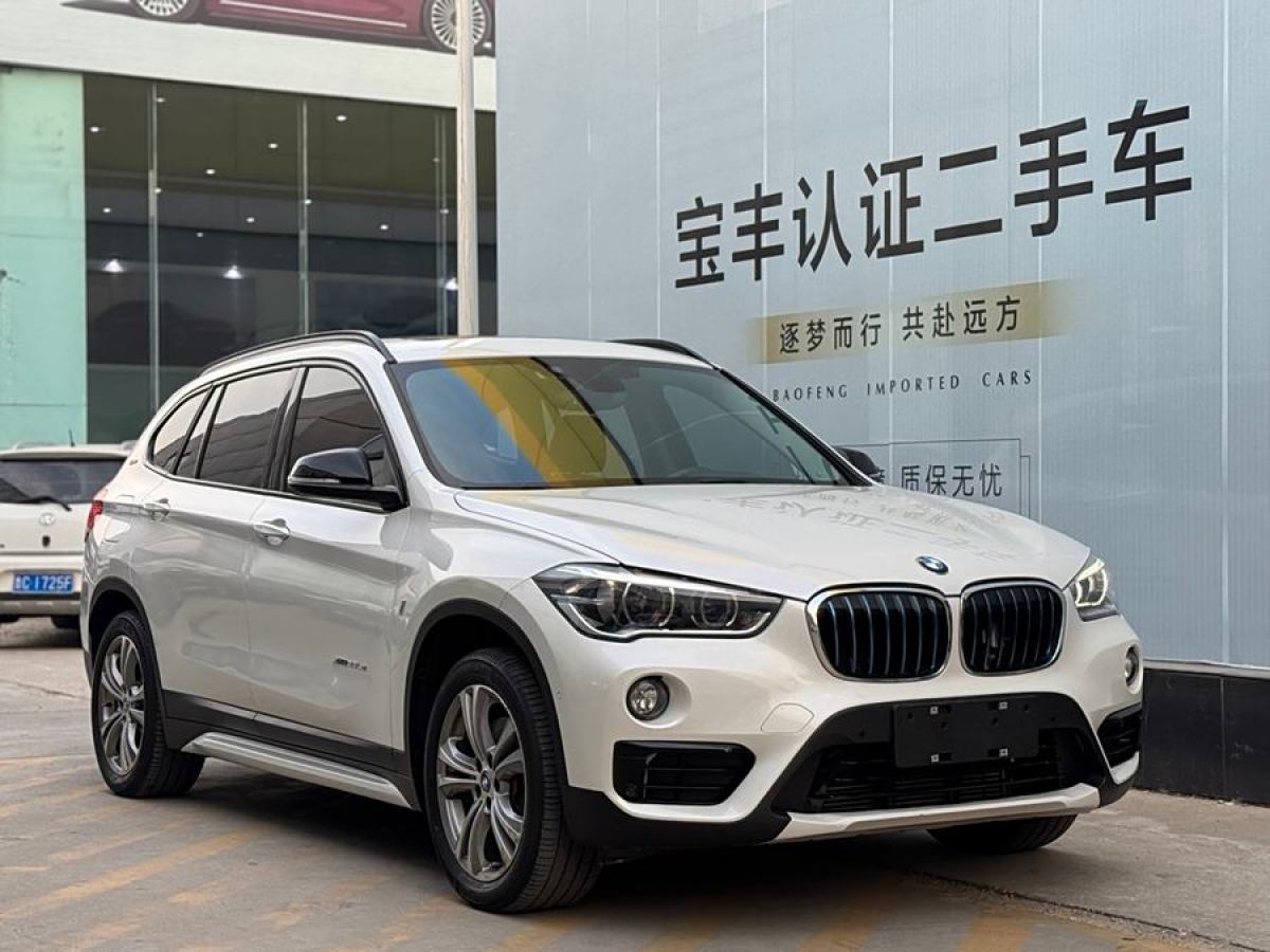 寶馬 寶馬X1新能源  2018款 xDrive25Le 豪華型圖片