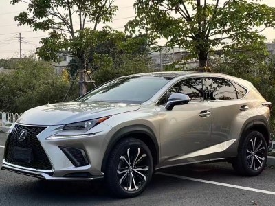 2018年5月 雷克薩斯 NX 300 前驅(qū) 鋒行版圖片