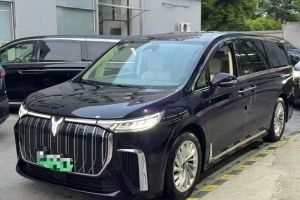 夢(mèng)想家 嵐圖 EV 超長(zhǎng)續(xù)航卓越版