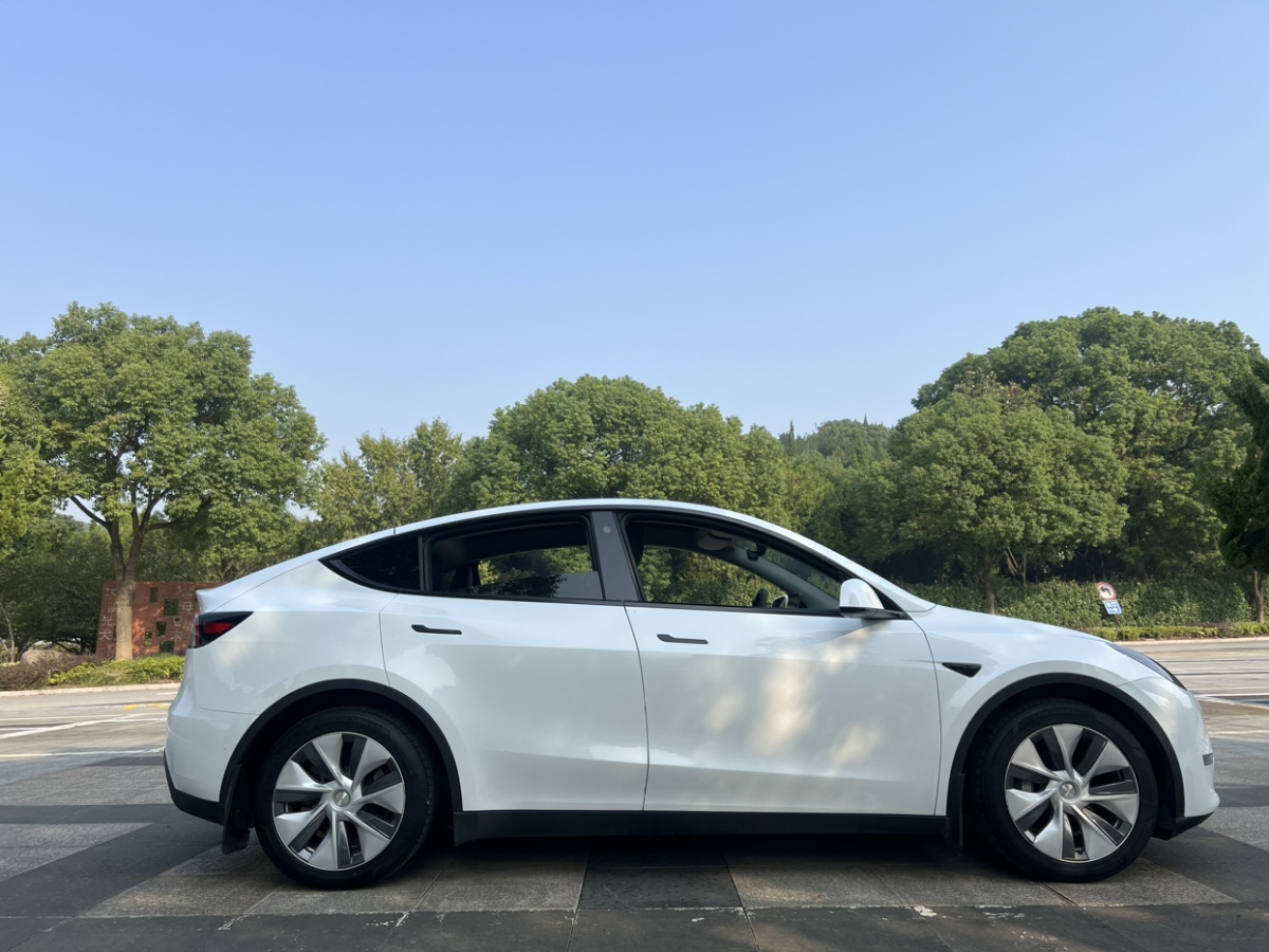 特斯拉 Model Y  2021款 改款 標(biāo)準(zhǔn)續(xù)航后驅(qū)升級(jí)版圖片