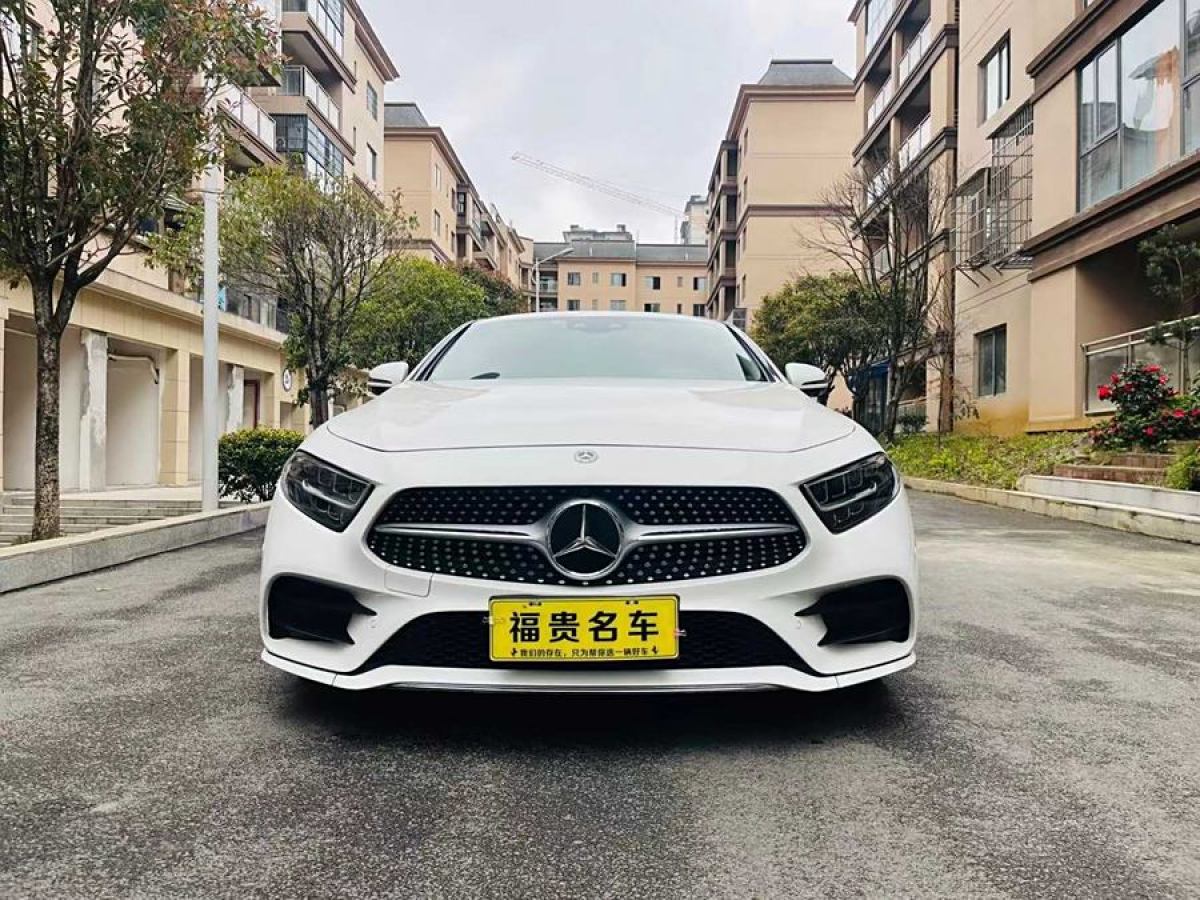 奔馳 奔馳CLS級(jí)  2018款 CLS 300 豪華型圖片