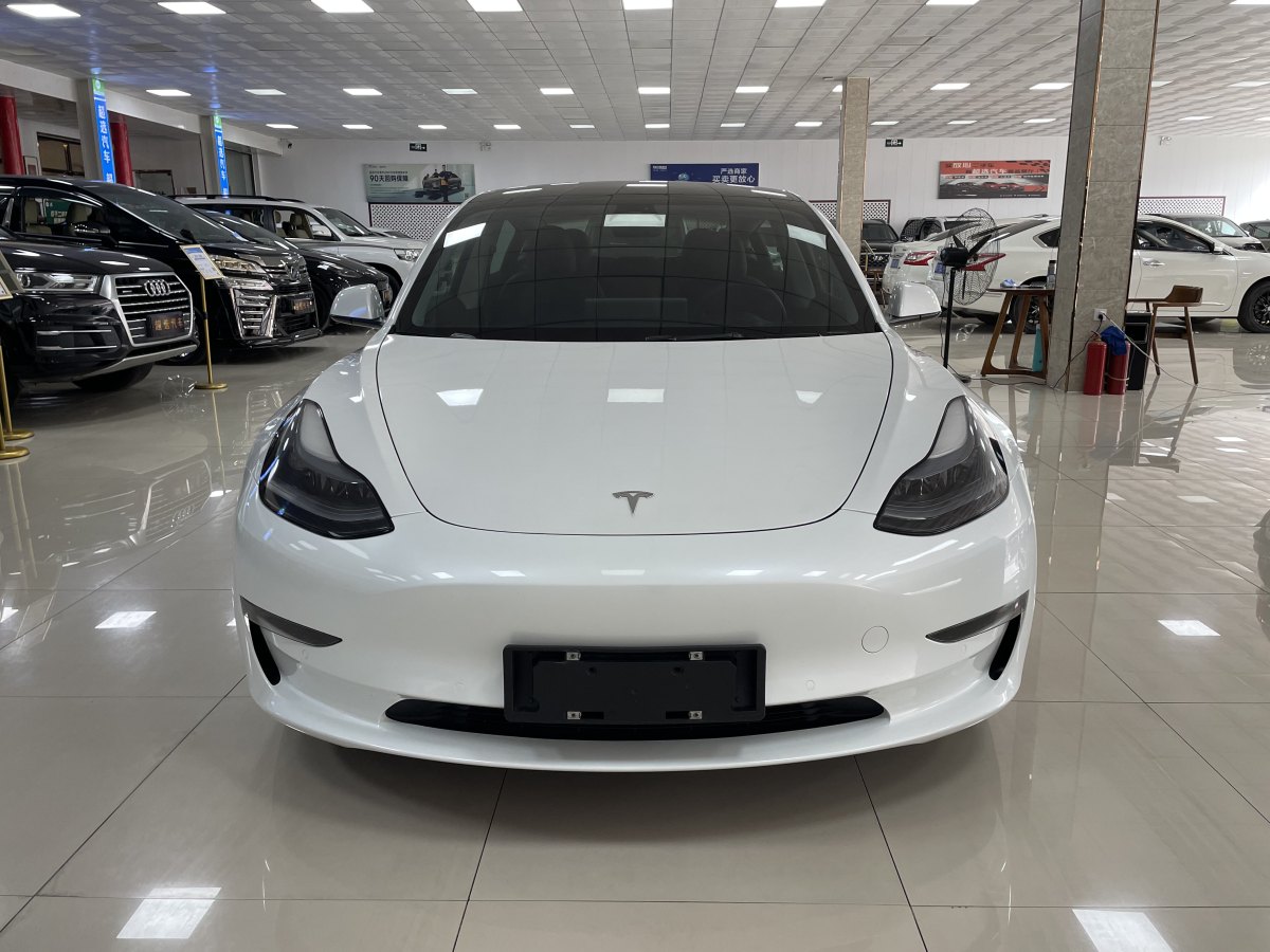 特斯拉 Model 3  2019款 Performance高性能全輪驅(qū)動(dòng)版圖片