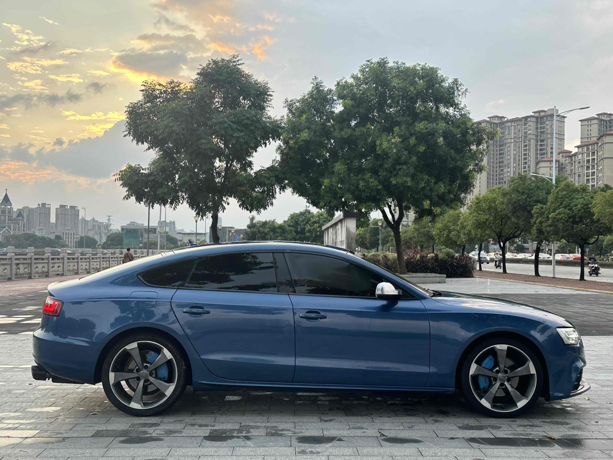 奧迪 奧迪A5  2010款 2.0TFSI Sportback 舒適型圖片