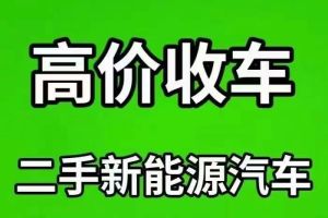 歐拉黑貓 歐拉 2019款 301km 標(biāo)準(zhǔn)版