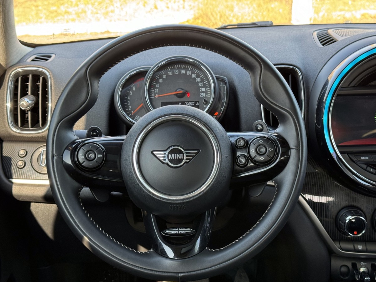 MINI COUNTRYMAN  2019款 2.0T COOPER S ALL4 藝術(shù)家圖片