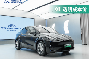 Model Y 特斯拉 后輪驅(qū)動(dòng)版