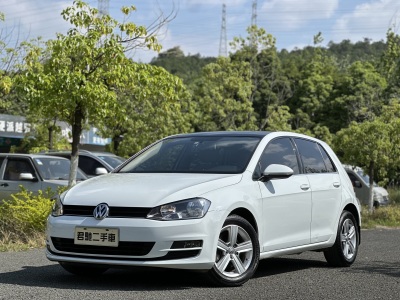 2014年6月 大眾 高爾夫 1.4TSI 自動(dòng)舒適型圖片