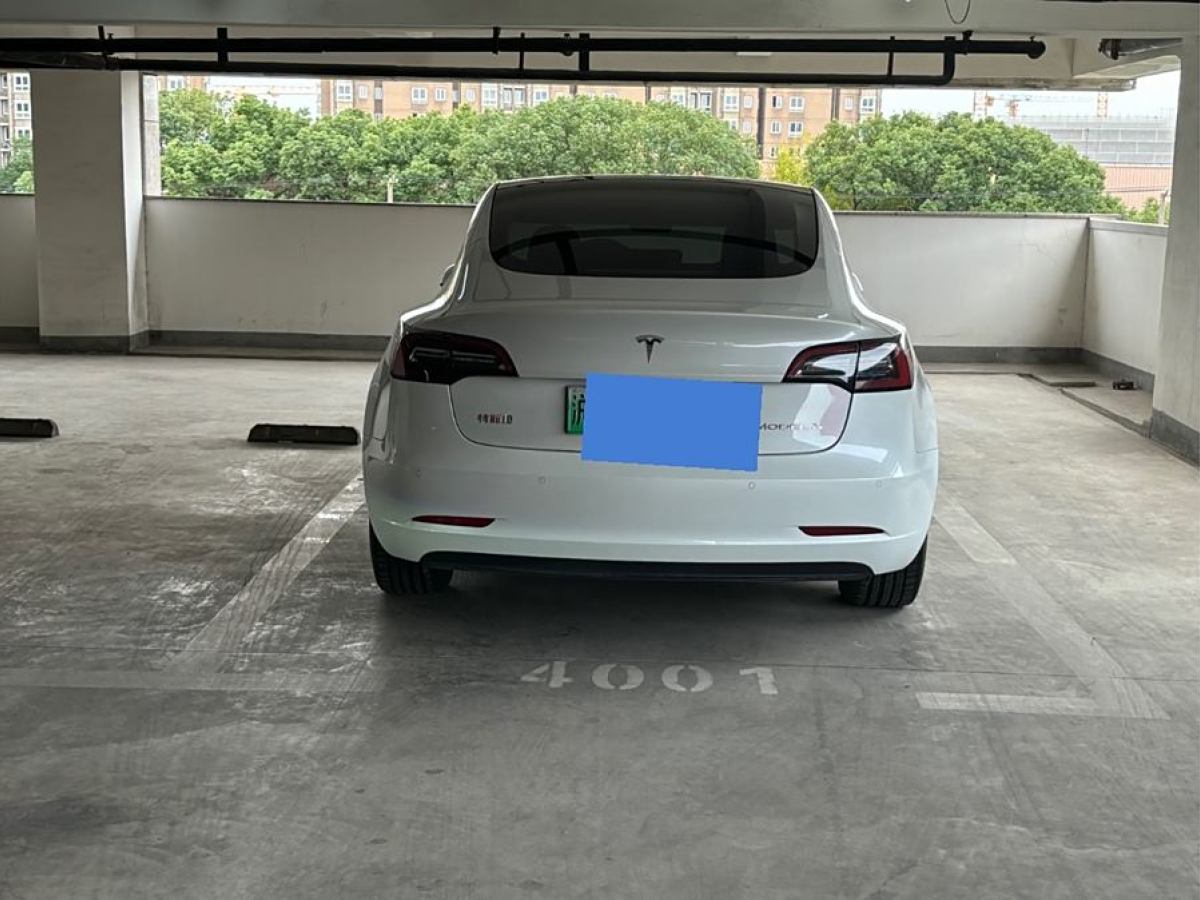 特斯拉 Model 3  2019款 標(biāo)準(zhǔn)續(xù)航后驅(qū)升級(jí)版圖片