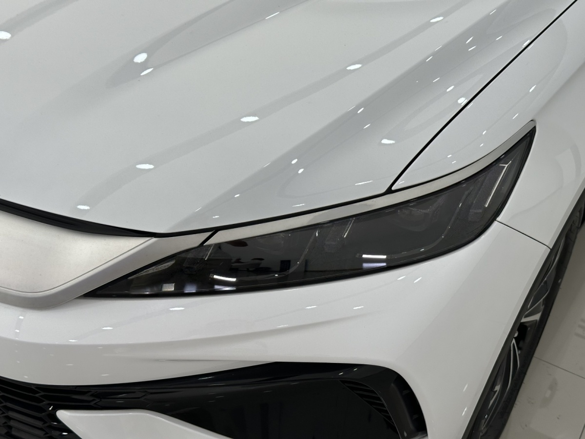比亞迪 宋Pro新能源  2025款 DM-i 115KM超越型圖片