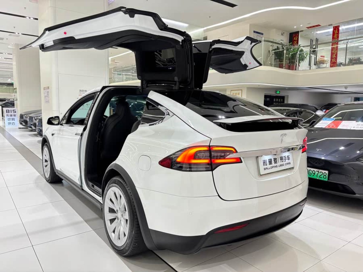 特斯拉 Model X  2019款 Performance 高性能版圖片