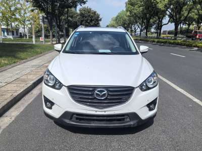 2016年1月 馬自達(dá) CX-5 2.0L 自動(dòng)兩驅(qū)都市型圖片