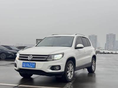 2014年8月 大眾 Tiguan(進(jìn)口) 2.0TSI 專享版圖片