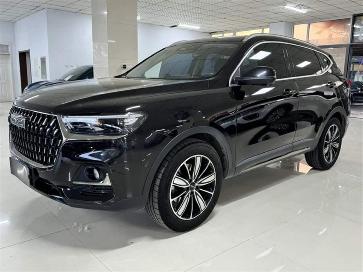 哈弗 H6  2023款 國潮版 1.5T 自動冠軍版圖片