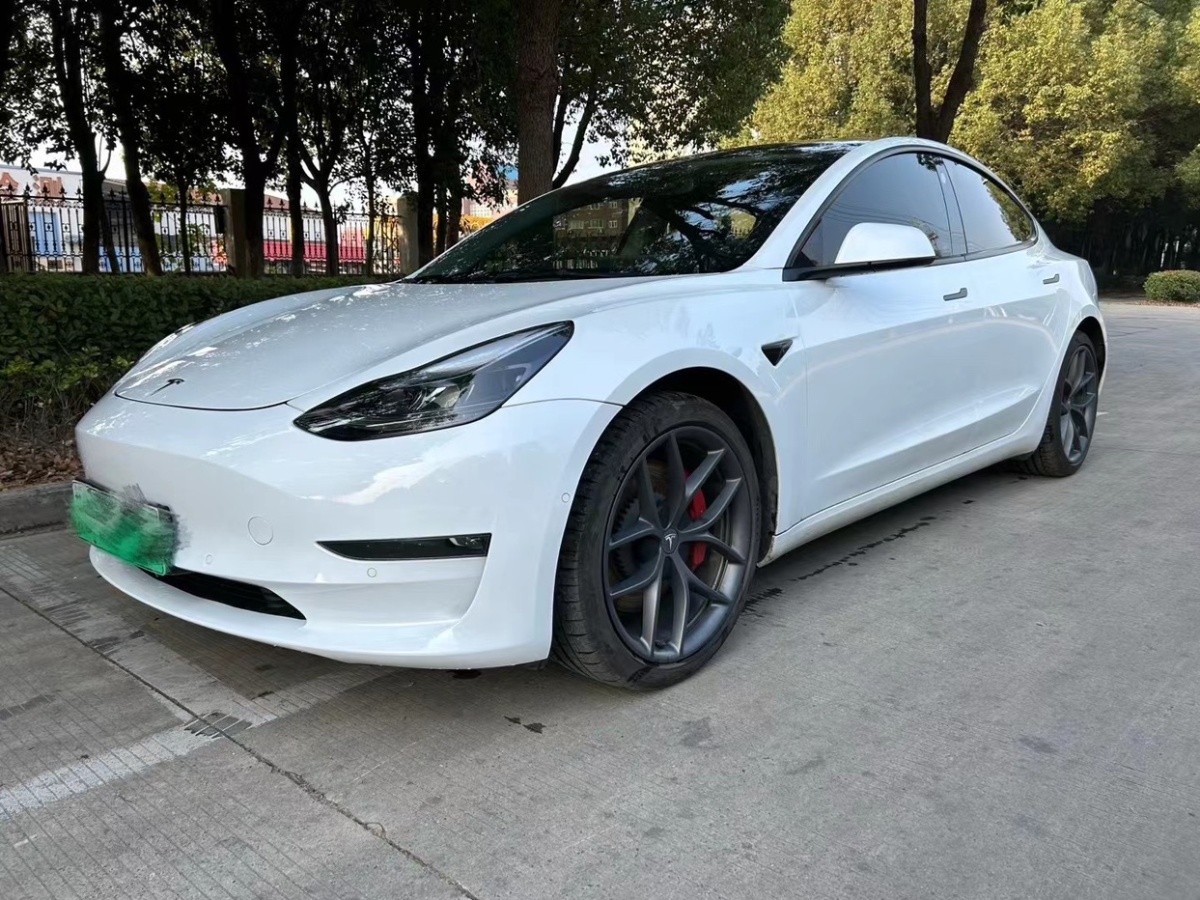 特斯拉 Model 3  2022款 Performance高性能全輪驅(qū)動版圖片