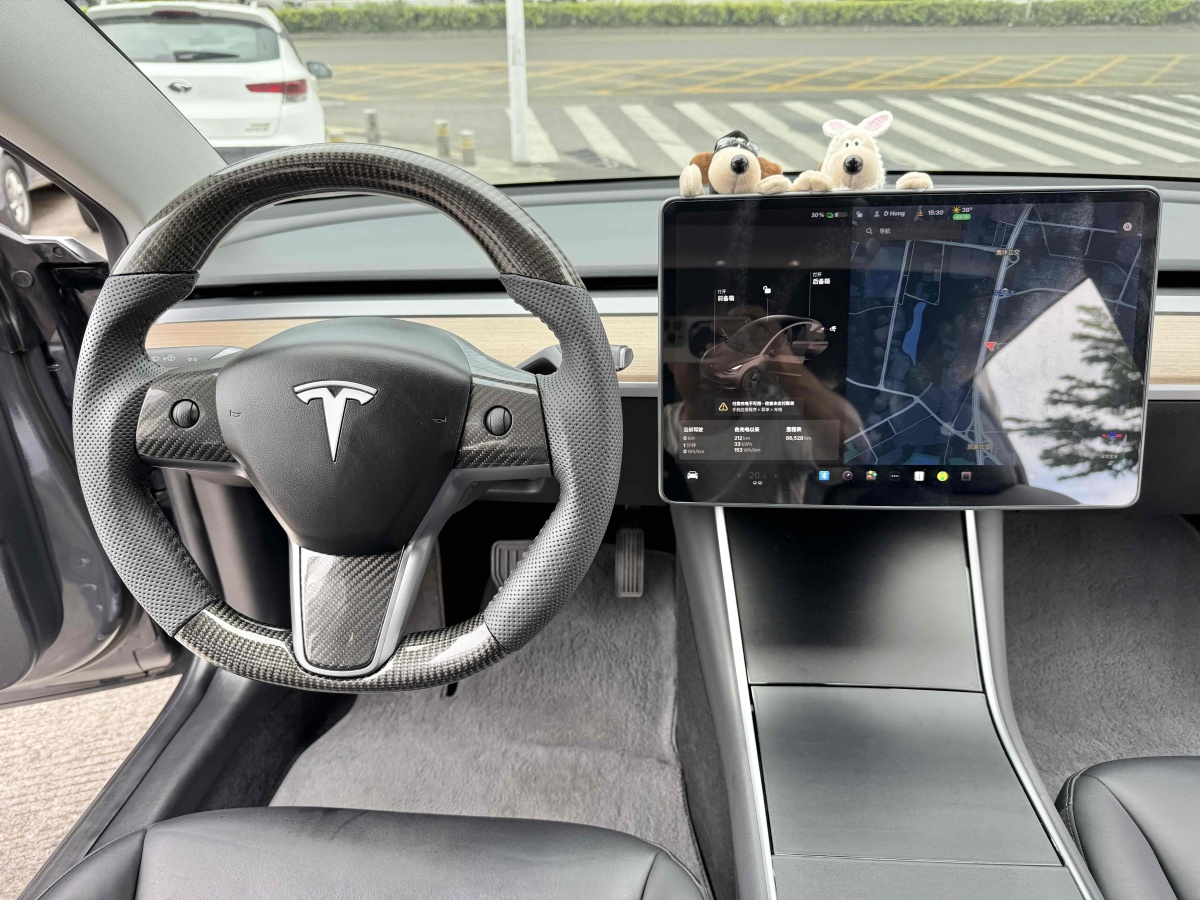 特斯拉 Model 3  2019款 長續(xù)航后驅(qū)版圖片