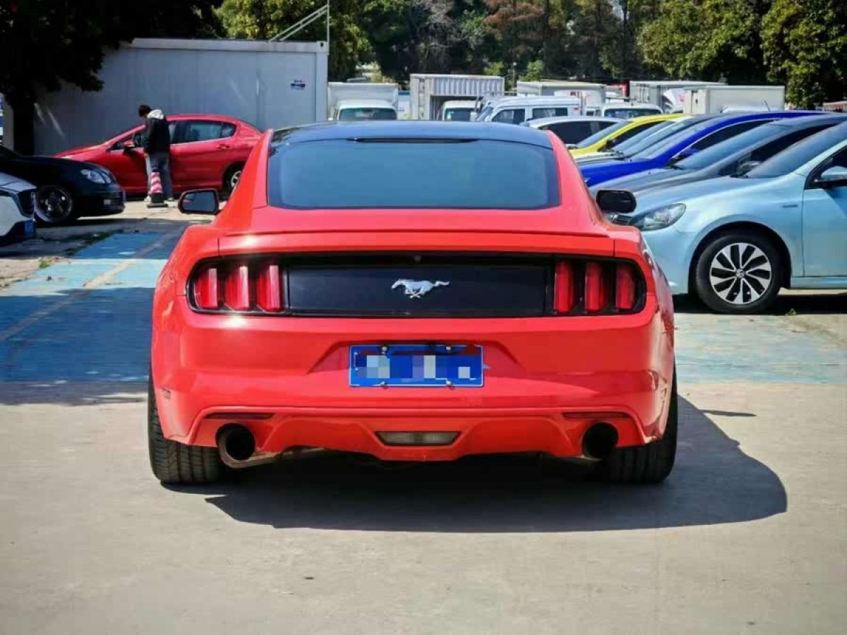 福特 Mustang  2016款 2.3T 性能版圖片