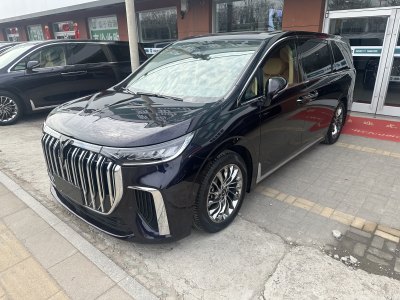 2023年10月 嵐圖 夢想家 PHEV 超長續(xù)航旗艦版圖片