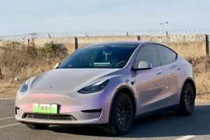 Model Y 特斯拉 后轮驱动版