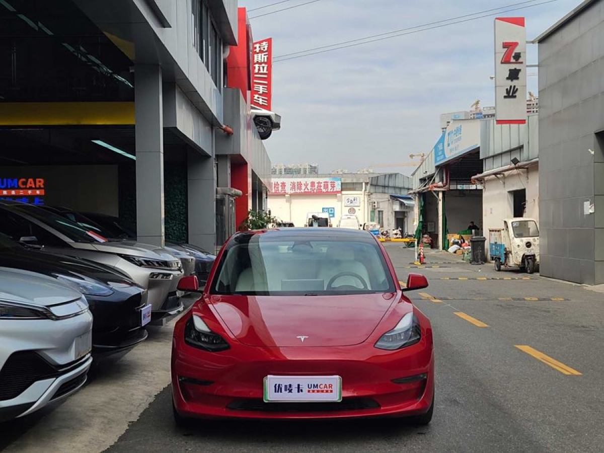 特斯拉 Model Y  2021款 Performance高性能全輪驅(qū)動(dòng)版圖片