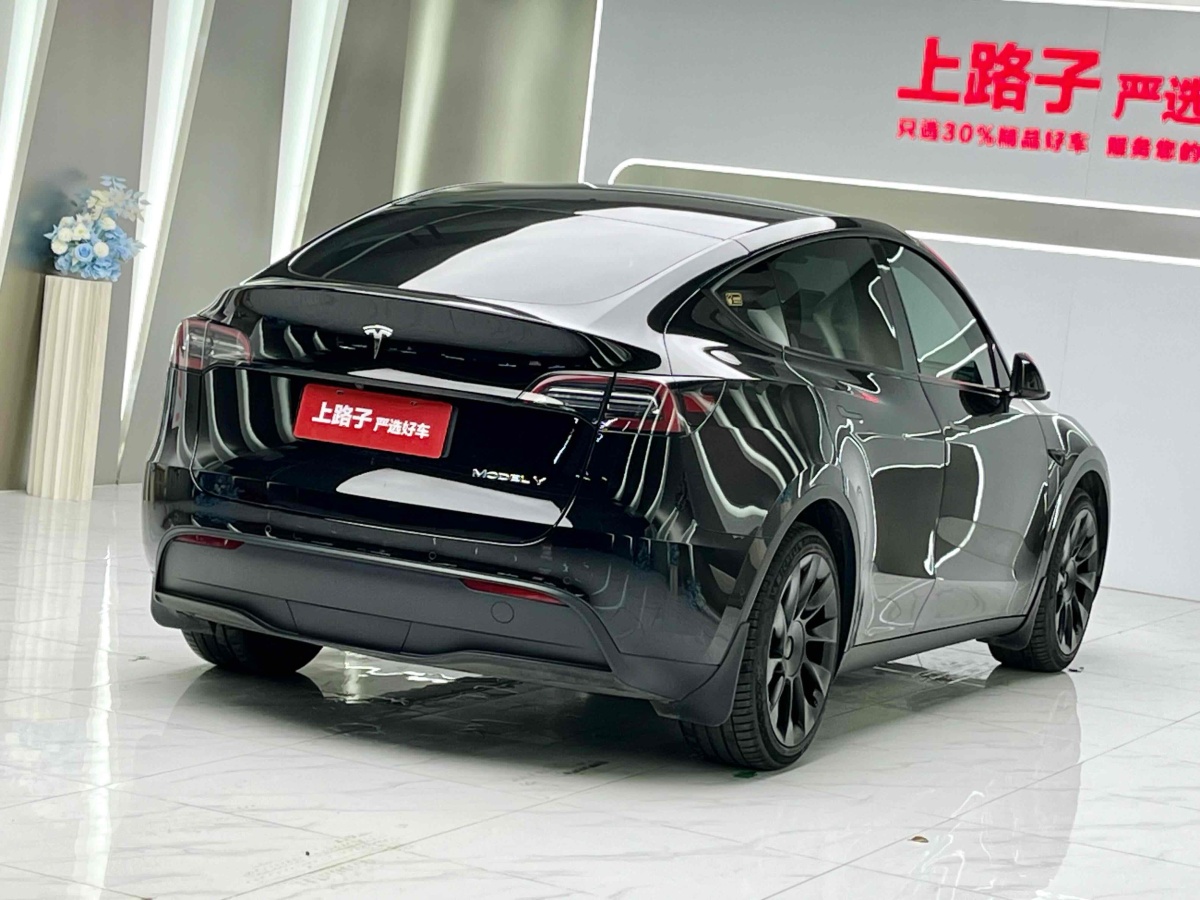 特斯拉 Model Y  2021款 改款 標(biāo)準(zhǔn)續(xù)航后驅(qū)升級(jí)版圖片