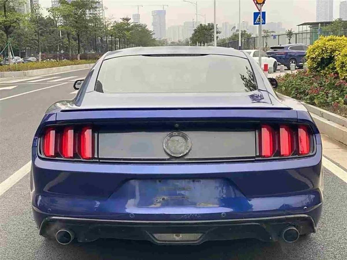 福特 Mustang  2015款 2.3T 性能版圖片