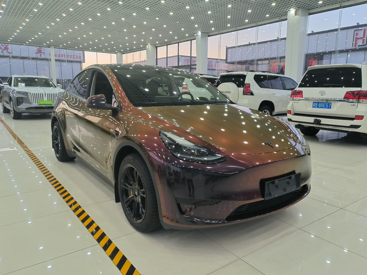 特斯拉 Model Y  2020款 改款 長續(xù)航后輪驅(qū)動版圖片