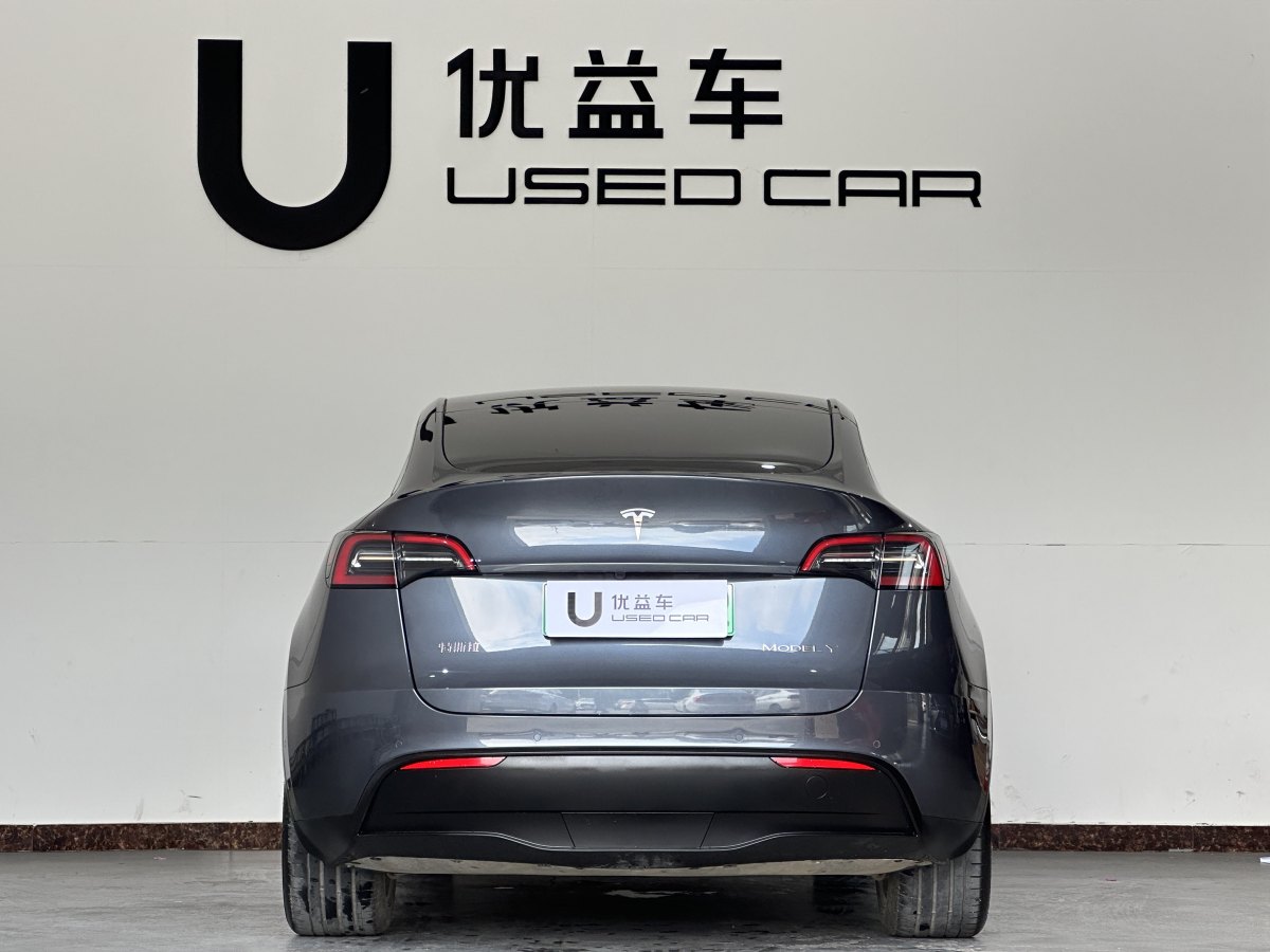 特斯拉 Model 3  2020款 改款 長續(xù)航后輪驅(qū)動版圖片