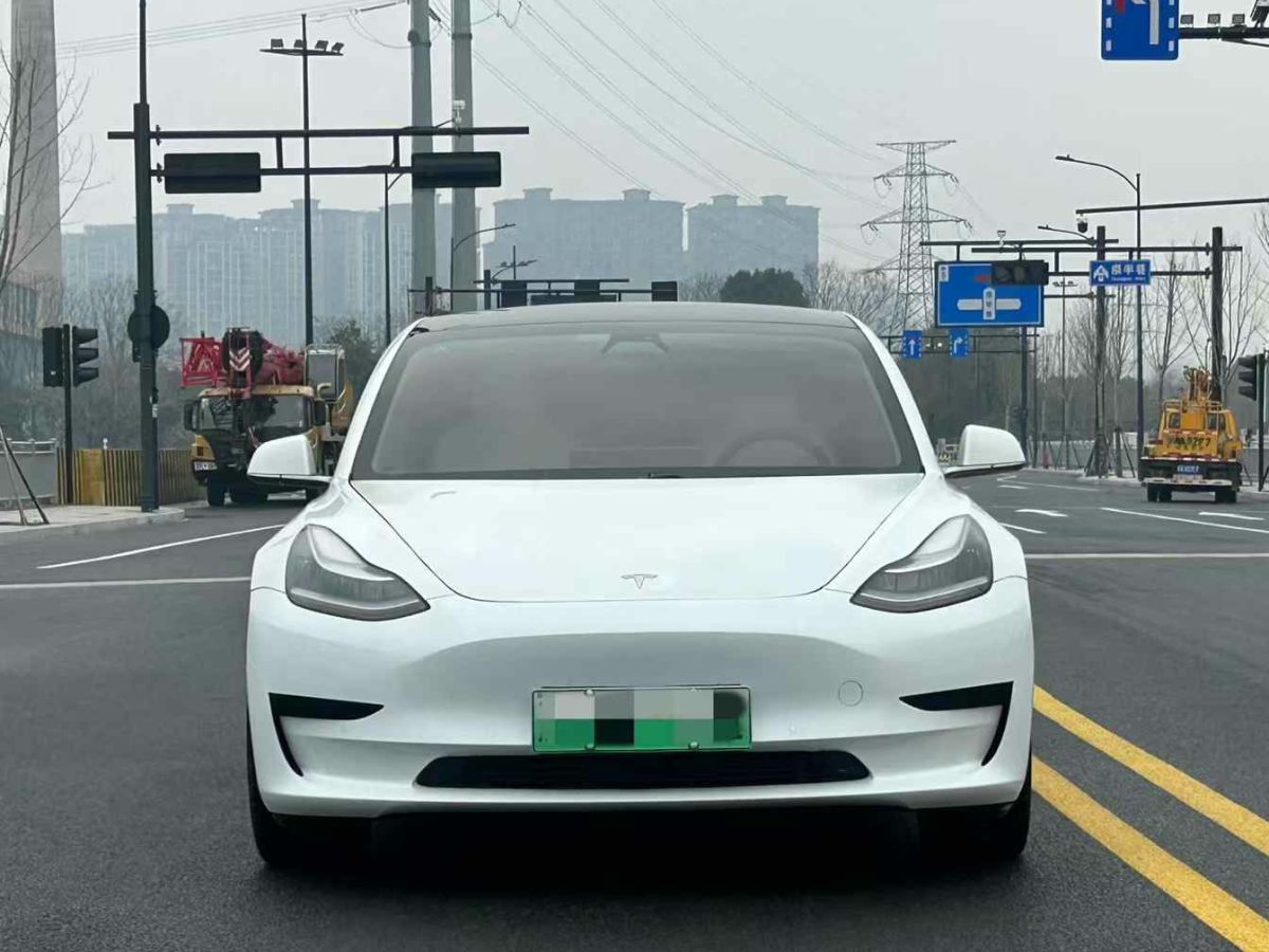 2020年11月特斯拉 Model 3  2020款 標(biāo)準(zhǔn)續(xù)航后驅(qū)升級(jí)版