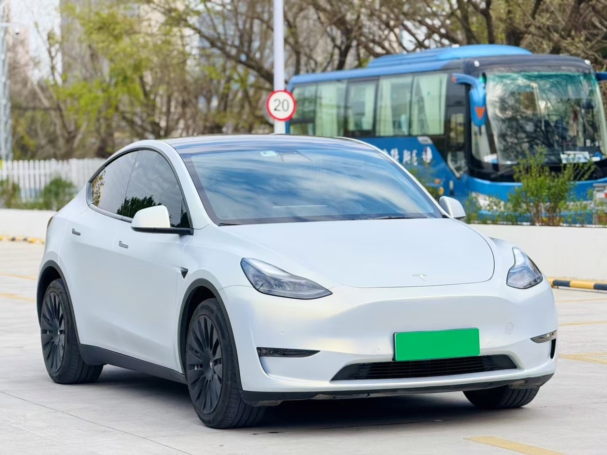 特斯拉 Model Y  2021款 標(biāo)準(zhǔn)續(xù)航后驅(qū)版圖片