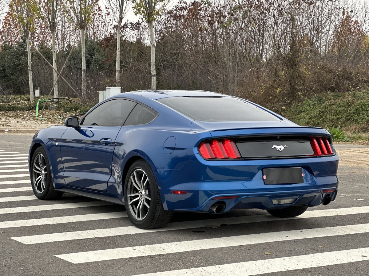 福特 Mustang  2016款 2.3T 性能版圖片