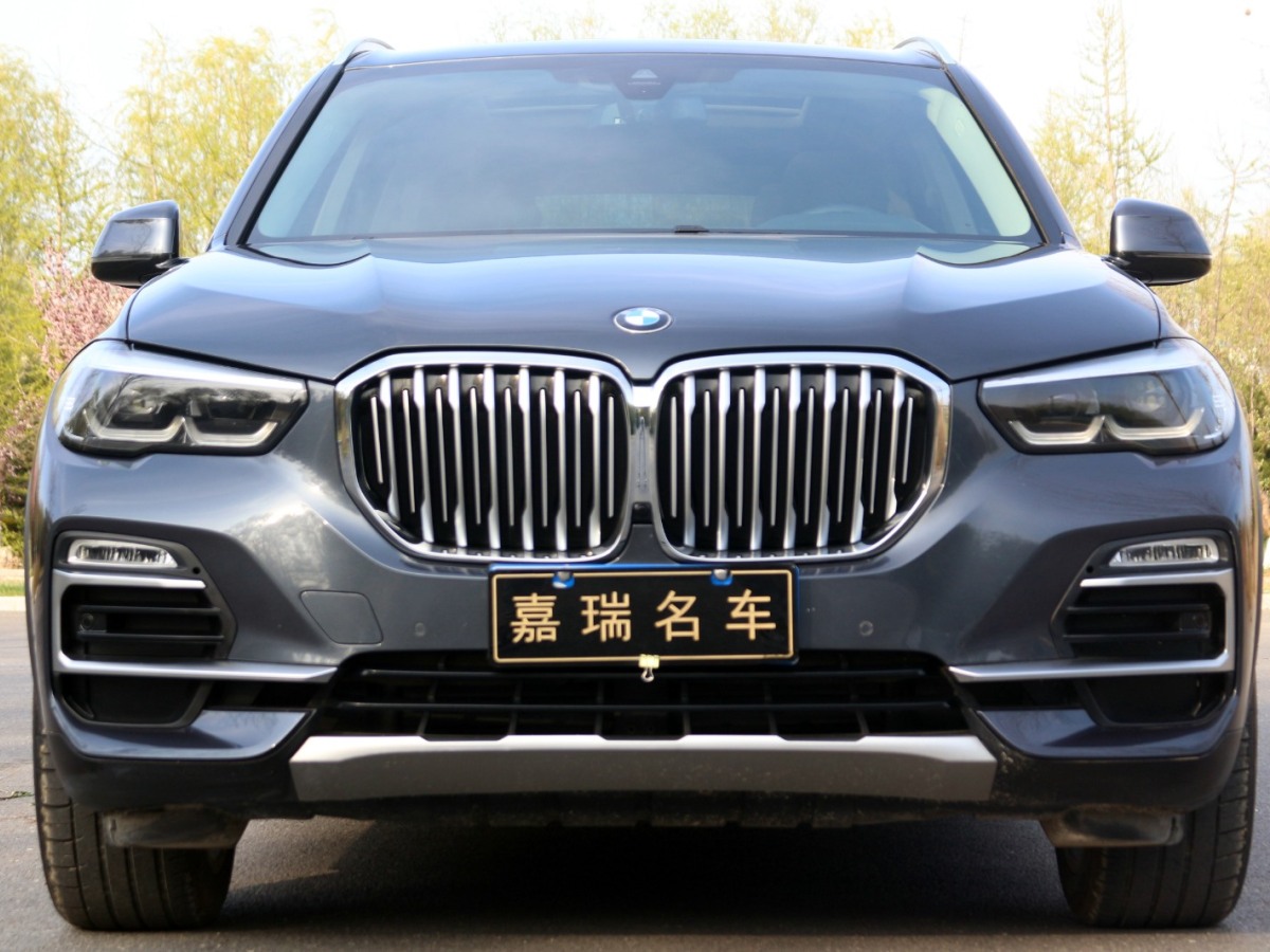 2019年1月宝马 宝马X5  2020款 xDrive30i X设计套装