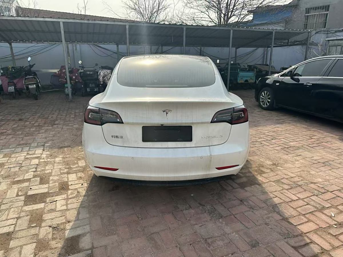 特斯拉 Model 3  2019款 標(biāo)準(zhǔn)續(xù)航后驅(qū)升級(jí)版圖片