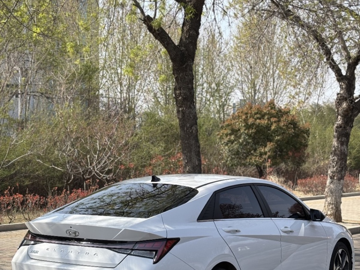 現(xiàn)代 伊蘭特  2023款 240TGDi DCT N Line LUX尊貴版圖片