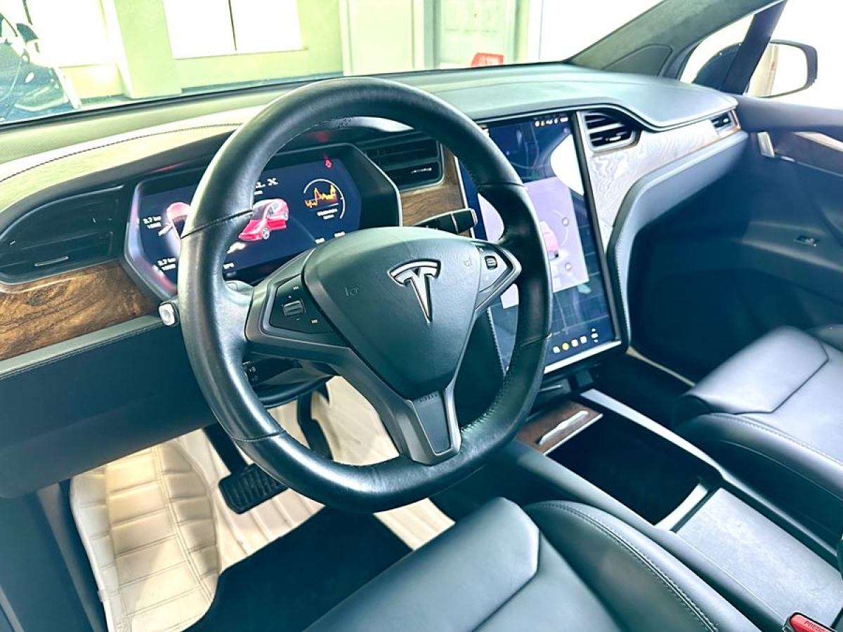 特斯拉 Model X  2019款 長續(xù)航版圖片