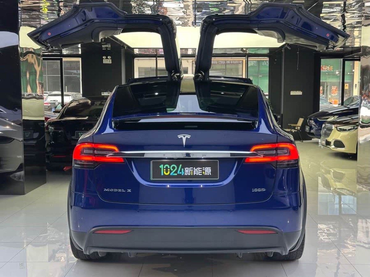 特斯拉 Model X  2017款 Model X 100D 長續(xù)航版圖片