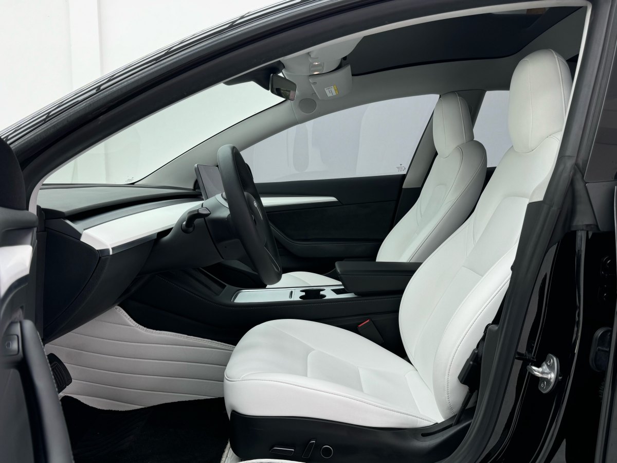 特斯拉 Model 3  2019款 標(biāo)準(zhǔn)續(xù)航后驅(qū)升級(jí)版圖片