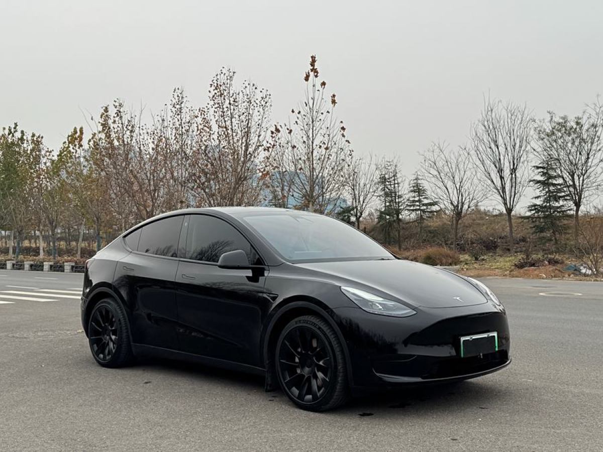 特斯拉 Model 3  2020款 改款 長(zhǎng)續(xù)航后輪驅(qū)動(dòng)版圖片