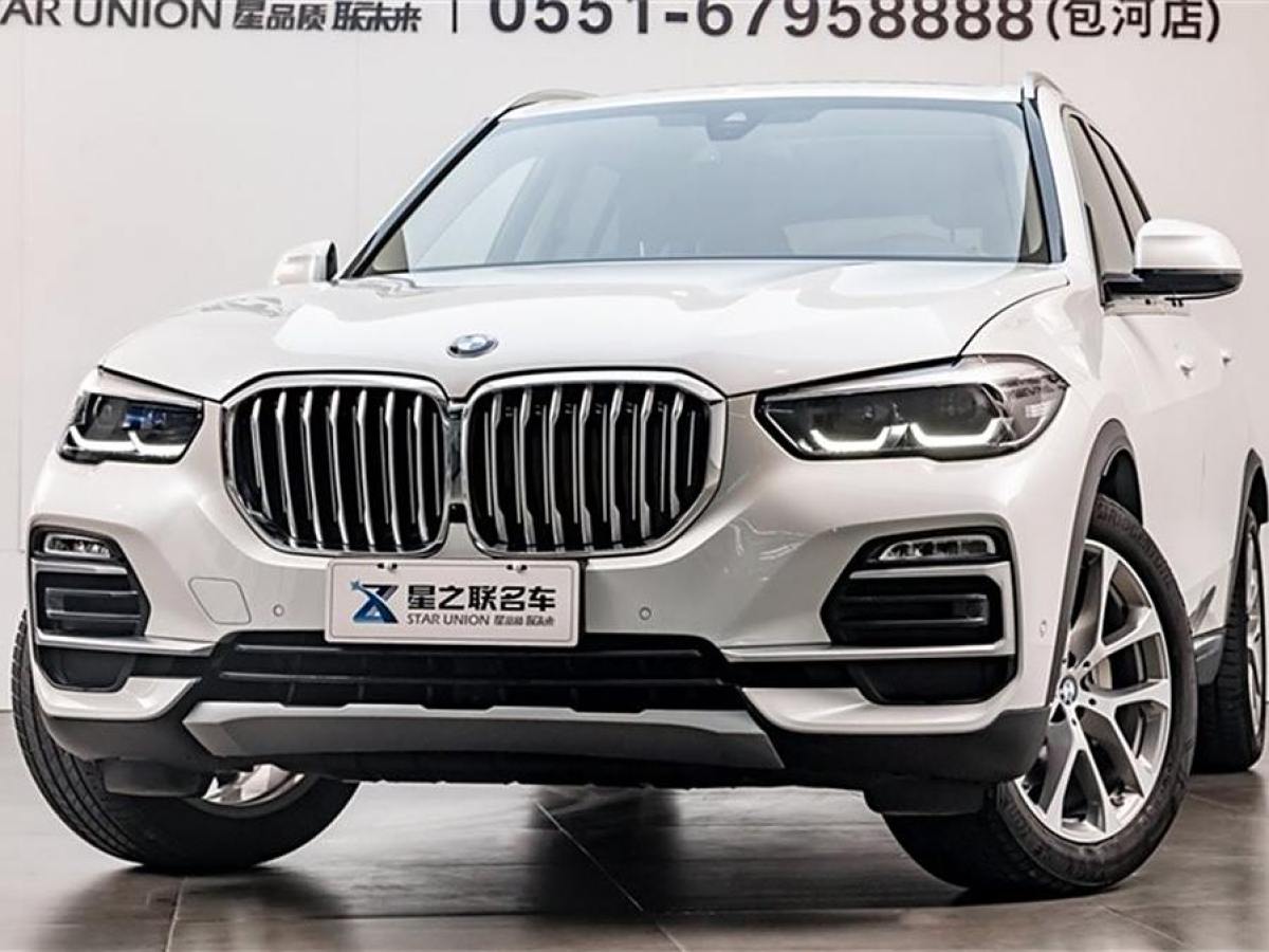 寶馬 寶馬X5  2019款 xDrive30i X設(shè)計(jì)套裝圖片