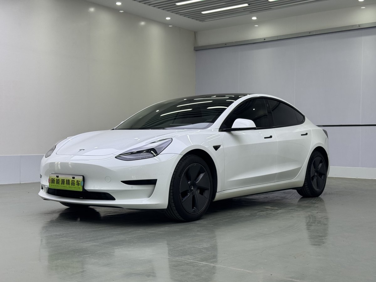 特斯拉 Model 3  2019款 標(biāo)準(zhǔn)續(xù)航后驅(qū)升級版圖片