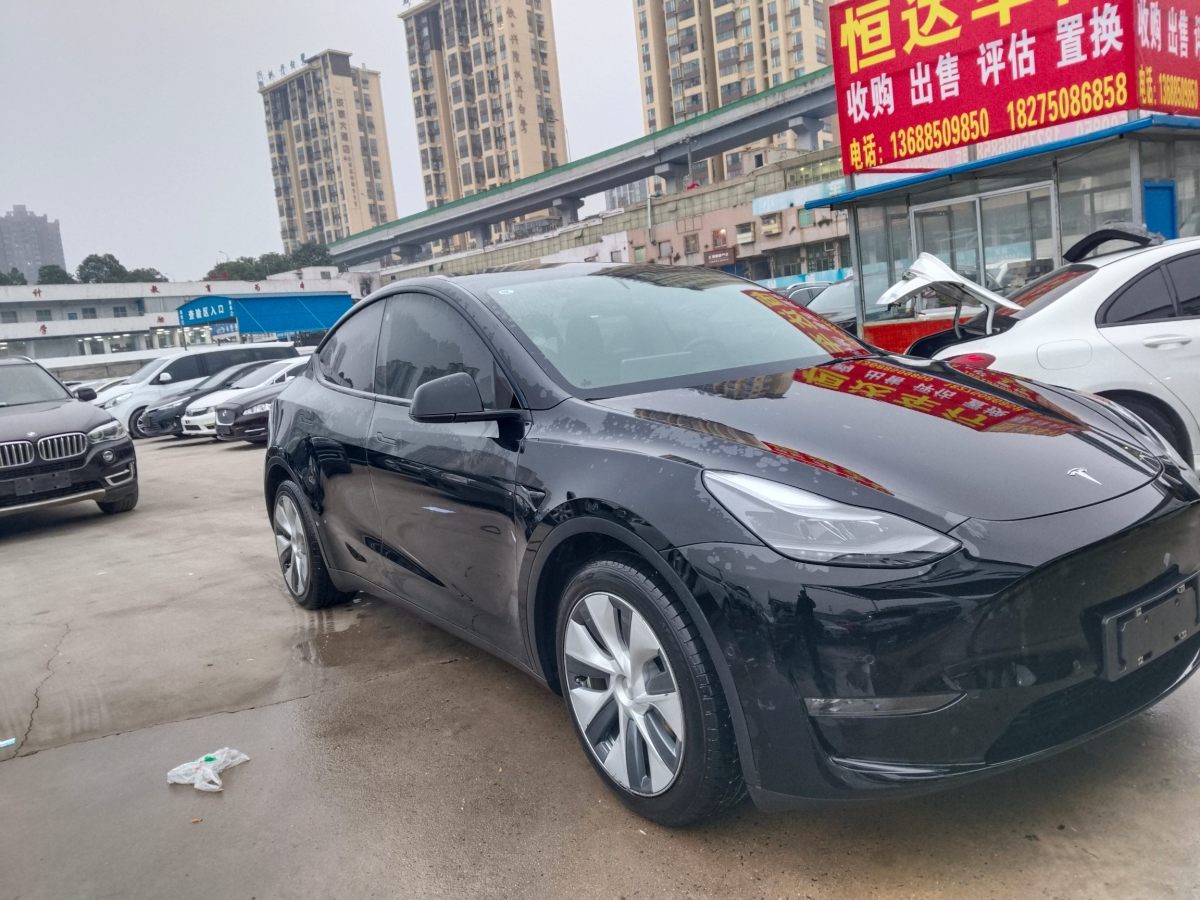 特斯拉 Model 3  2021款 改款 標準續(xù)航后驅(qū)升級版圖片