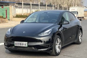Model Y 特斯拉 改款 后輪驅(qū)動版