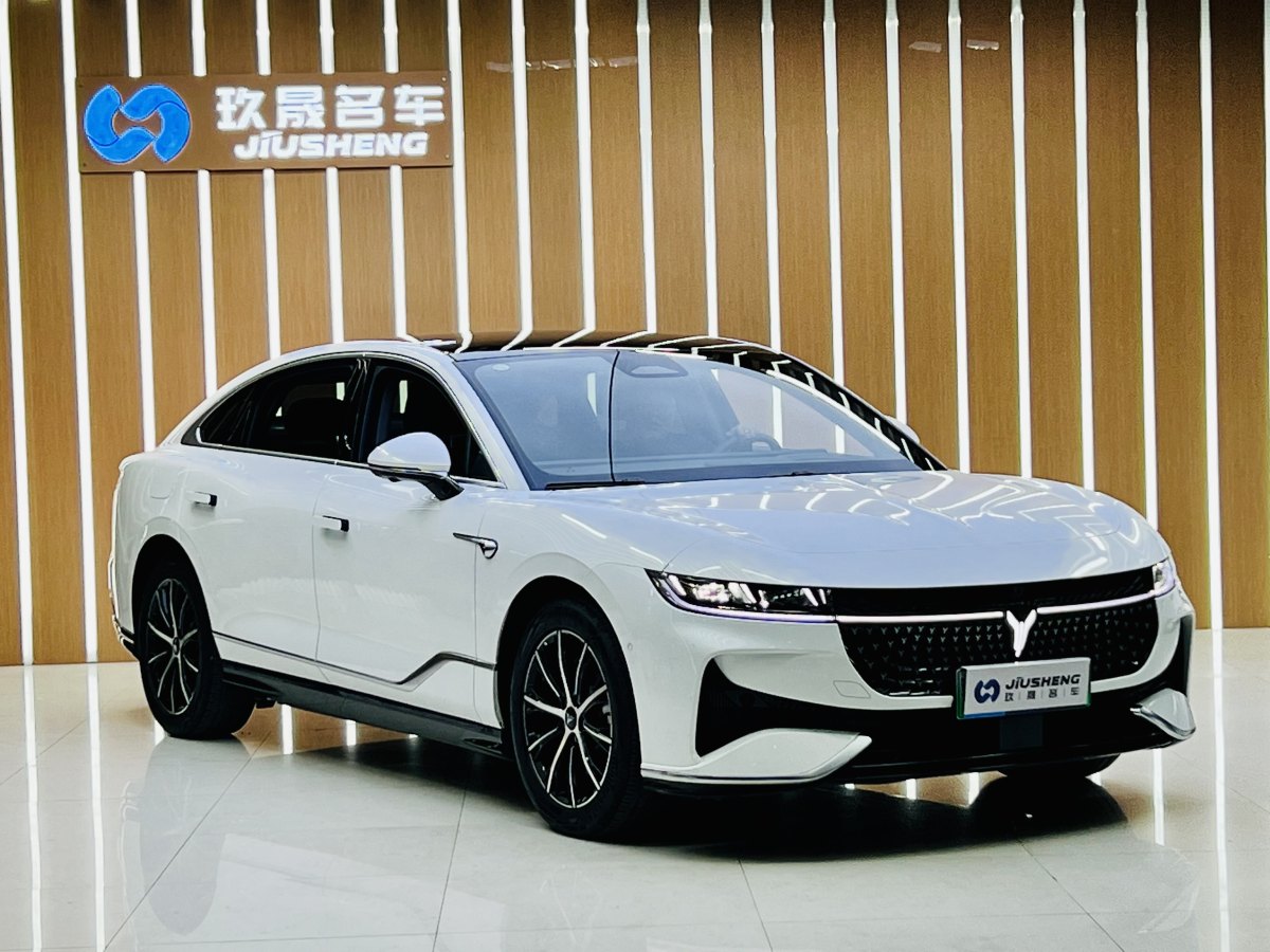 嵐圖 嵐圖追光  2024款 PHEV 四驅(qū)超長(zhǎng)續(xù)航行政版圖片