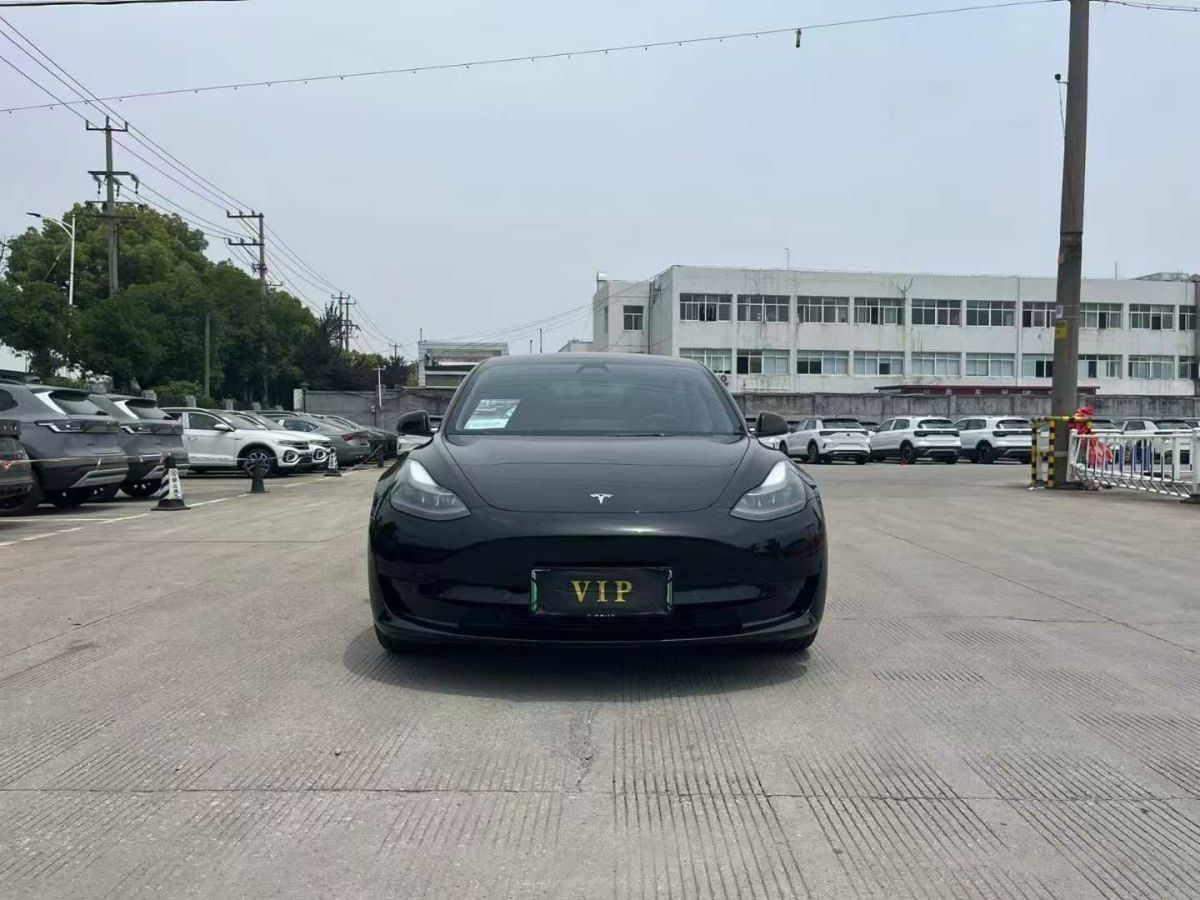 特斯拉 Model Y  2022款 Performance高性能全輪驅(qū)動版圖片