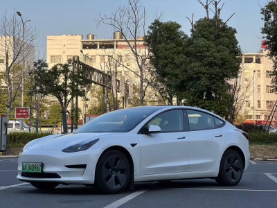 2023年06月 特斯拉 Model 3 后驅(qū)版圖片