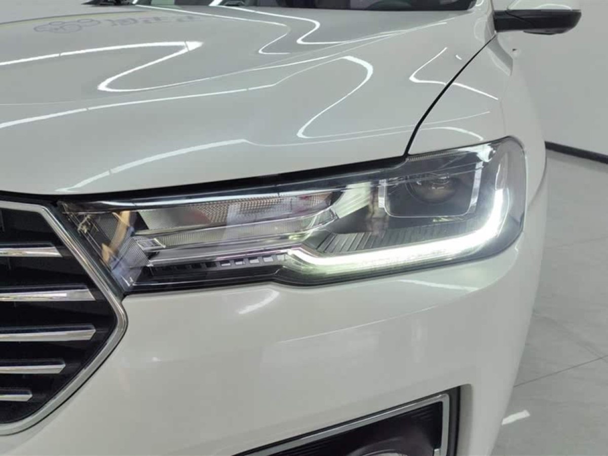 哈弗 H6  2019款 藍(lán)標(biāo) 1.5GDIT 自動冠軍版圖片