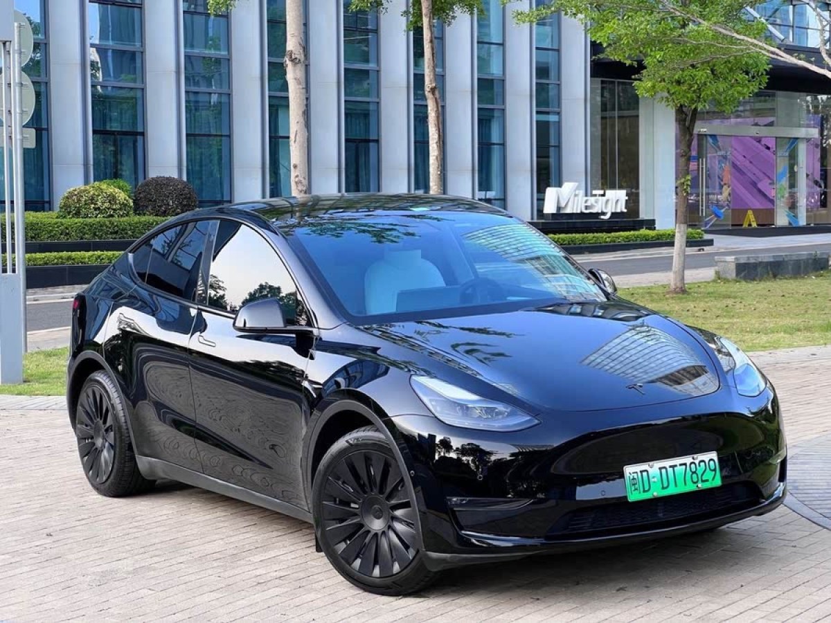 特斯拉 Model Y  2021款 標準續(xù)航后驅版圖片