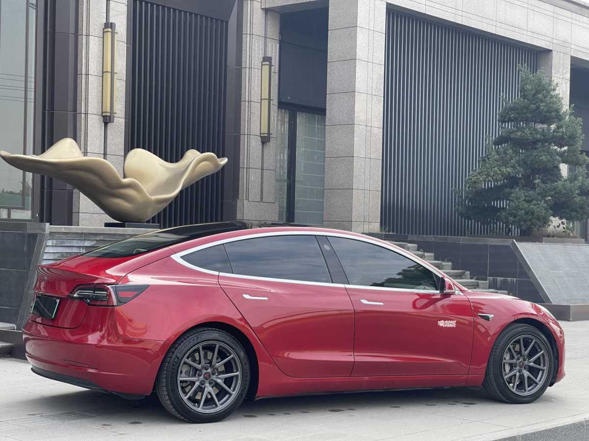 特斯拉 Model 3  2019款 長(zhǎng)續(xù)航后驅(qū)版圖片