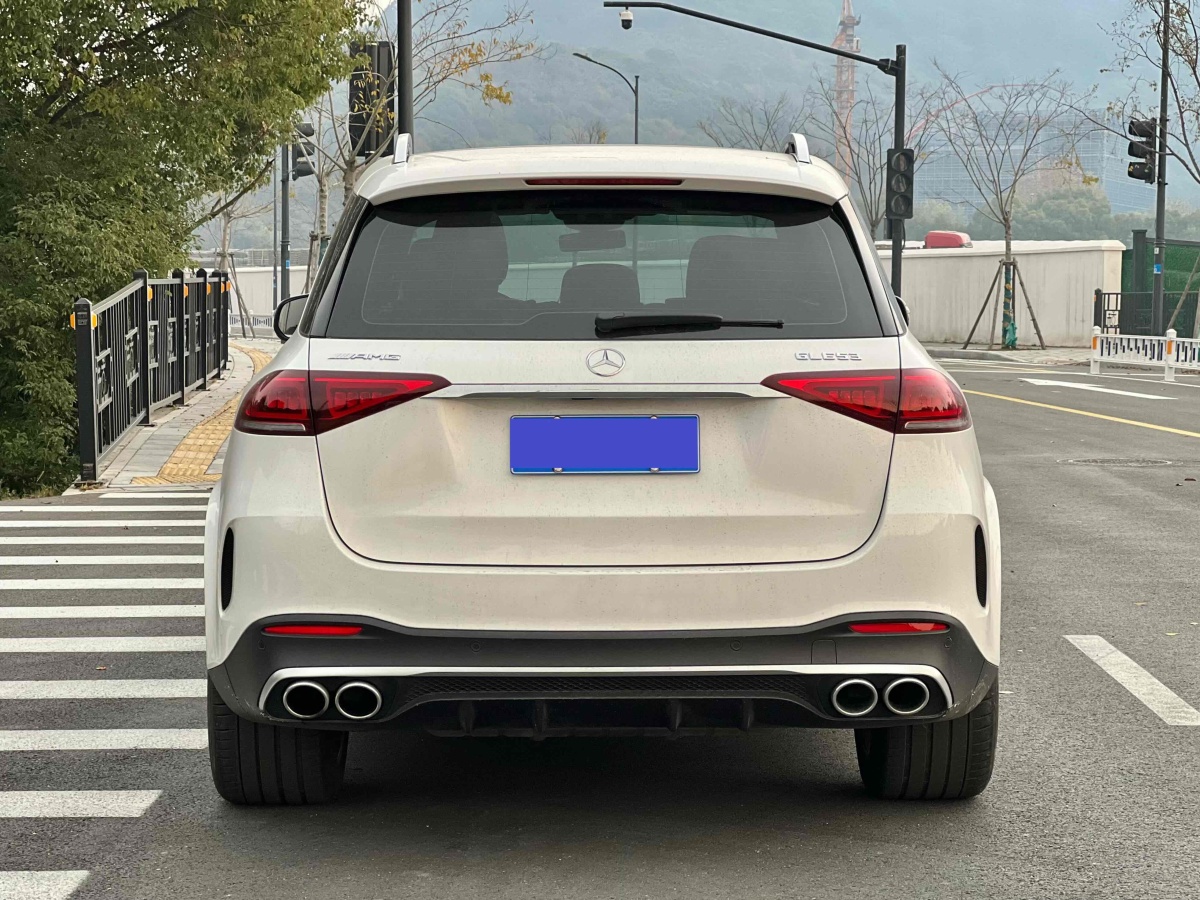 奔馳 奔馳GLE AMG  2020款 AMG GLE 53 4MATIC+圖片