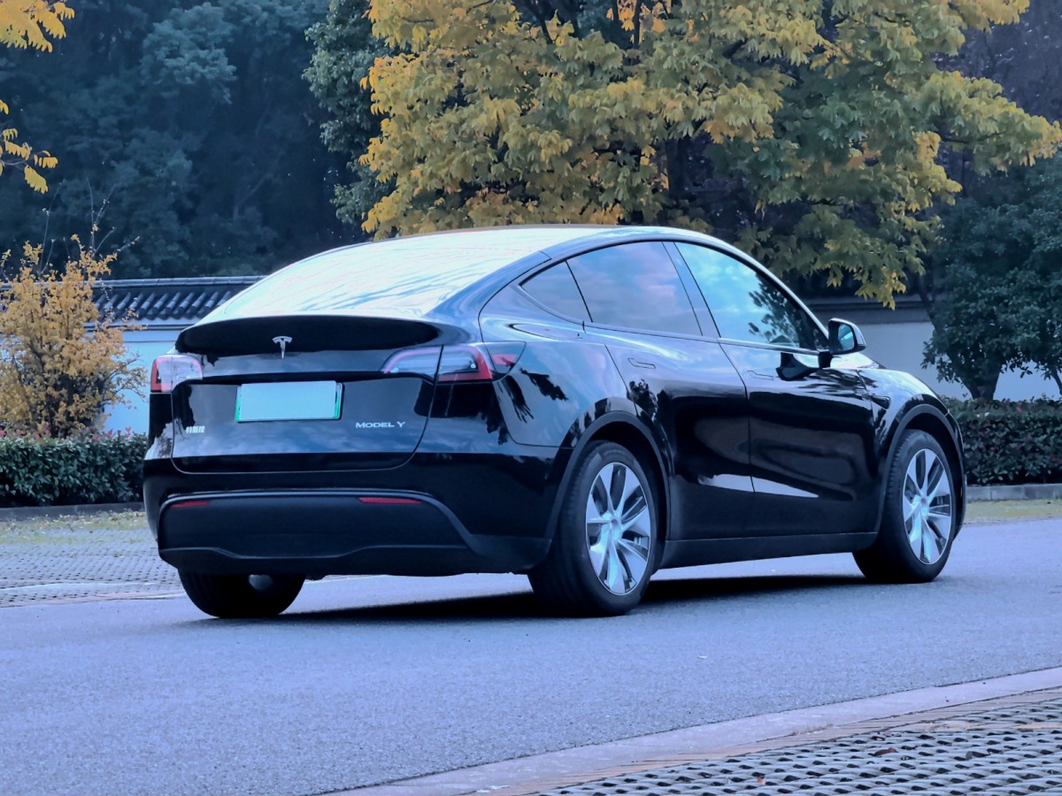  特斯拉 Model Y 2022款 后輪驅(qū)動版圖片