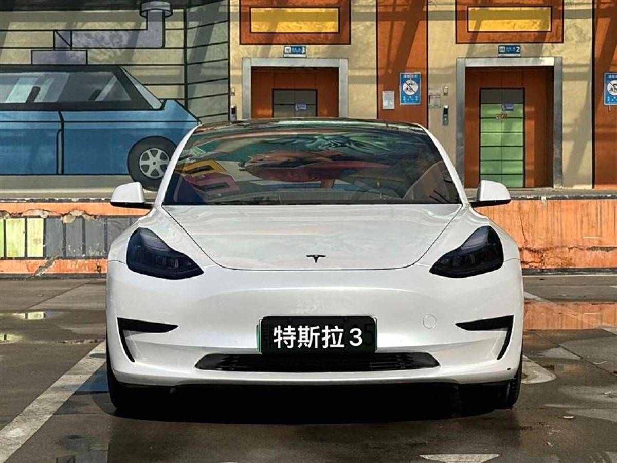 特斯拉 Model 3  2020款 改款 標準續(xù)航后驅升級版圖片